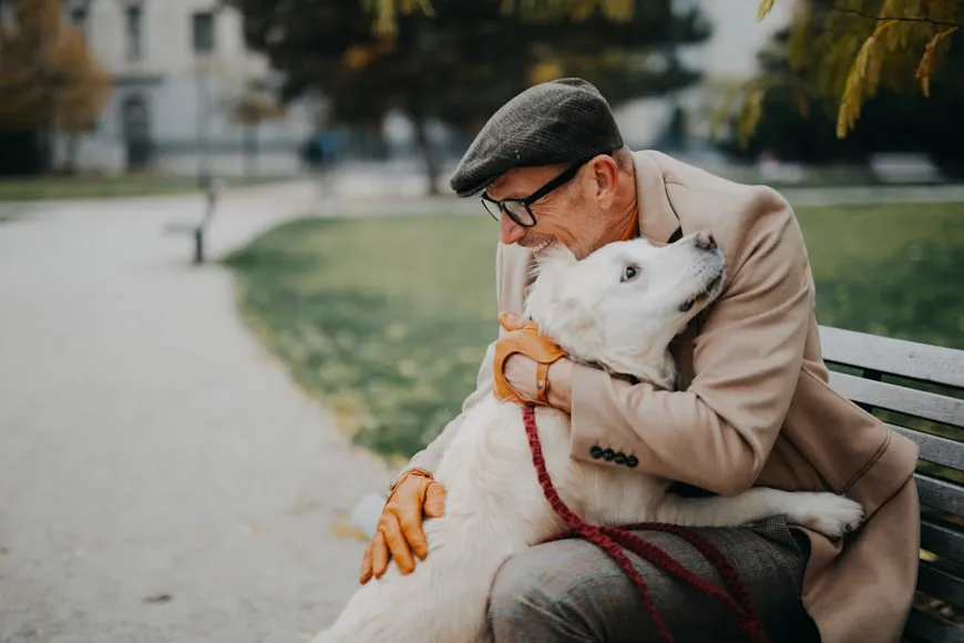 When to Consider Euthanasia for a Dog With Arthritis