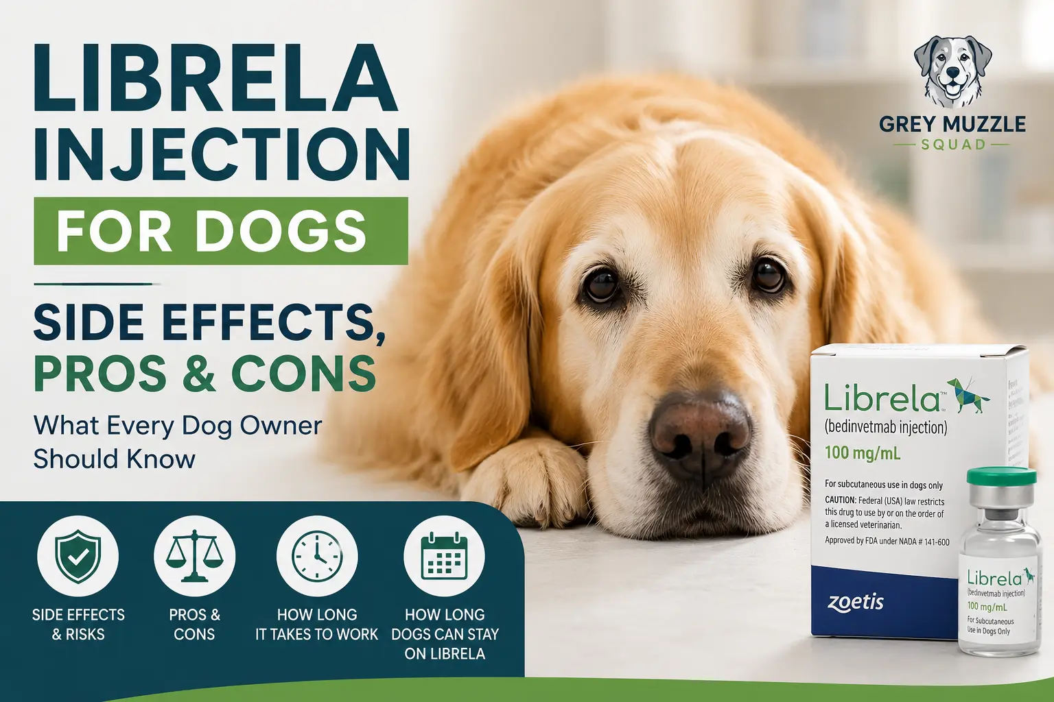 Librela injection for dogs: side effects, how long it takes, pros and cons